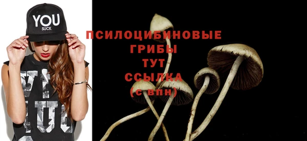 спиды Медногорск